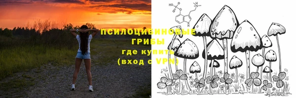 марки lsd Алексеевка